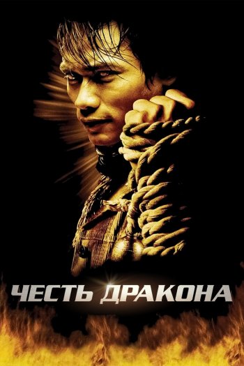 Смотреть онлайн Честь  дракона (2005)