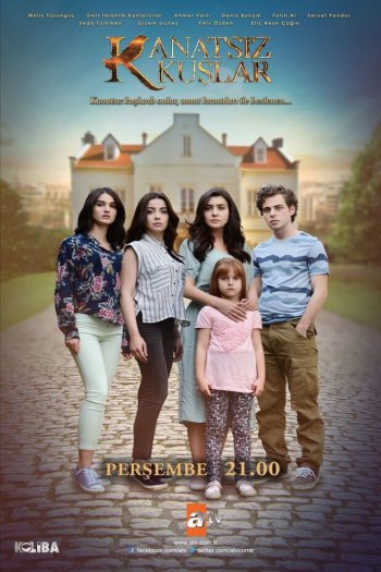 Смотреть онлайн Птицы без крыльев (2017)