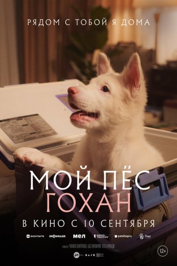 Мой пёс Гохан смотреть онлайн в HD 1080 720
