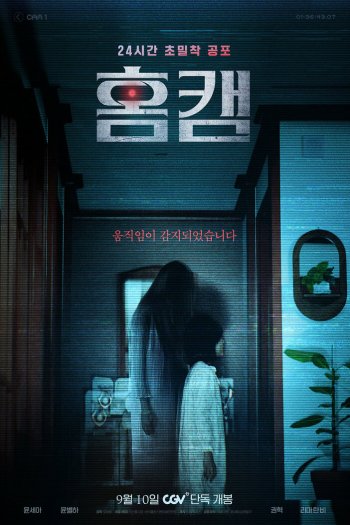 Смотреть онлайн Домашняя камера (2025)