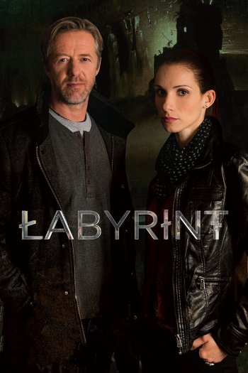 Смотреть онлайн Лабиринт (2015)
