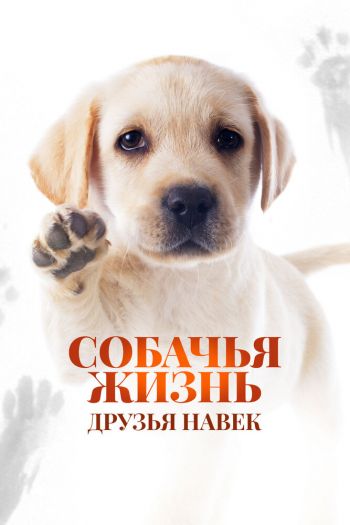 Смотреть онлайн Собачья жизнь: Друзья навек (2023)