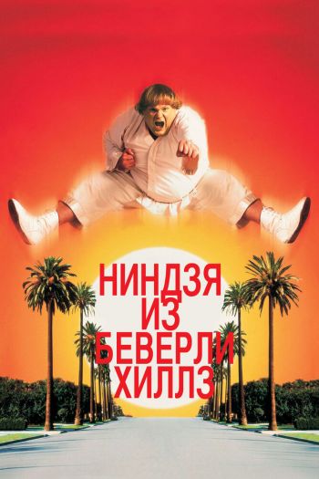 Смотреть онлайн Ниндзя из Беверли-Хиллз (1997)