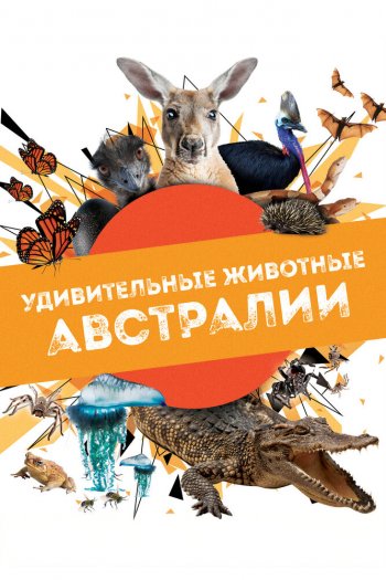 Смотреть онлайн Удивительные животные Австралии
