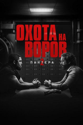 Смотреть онлайн Охота на воров 2: Пантера