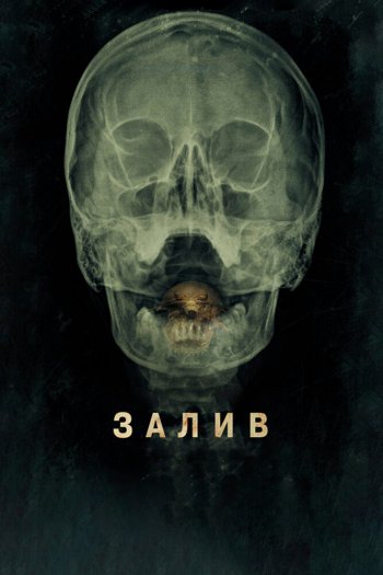 Смотреть онлайн Залив (2012)