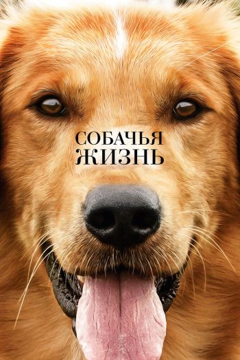 Смотреть онлайн Собачья жизнь