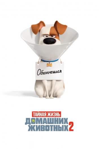 Смотреть онлайн Тайная жизнь домашних животных 2 (2019)