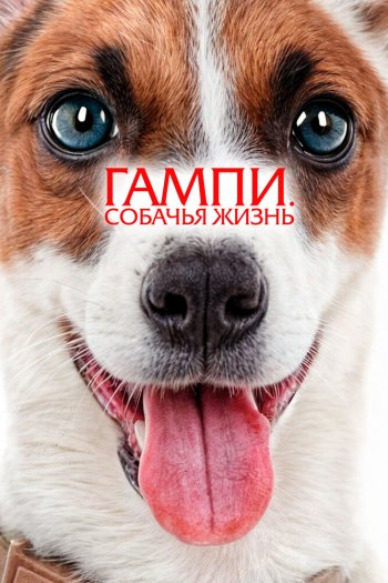 Смотреть онлайн Гампи. Собачья жизнь (2024)