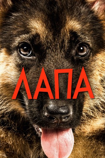 Смотреть онлайн Лапа (2015)