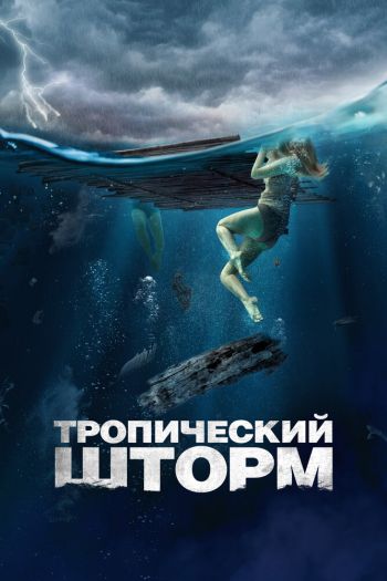 Смотреть онлайн Тропический шторм