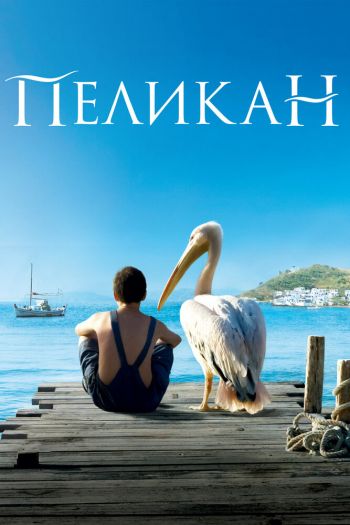 Пеликан смотреть онлайн в HD 1080 720