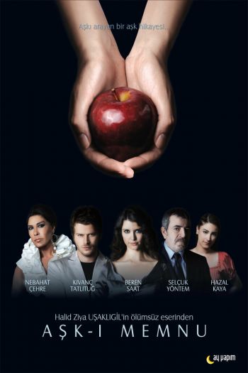 Смотреть онлайн Запретная любовь (2008)