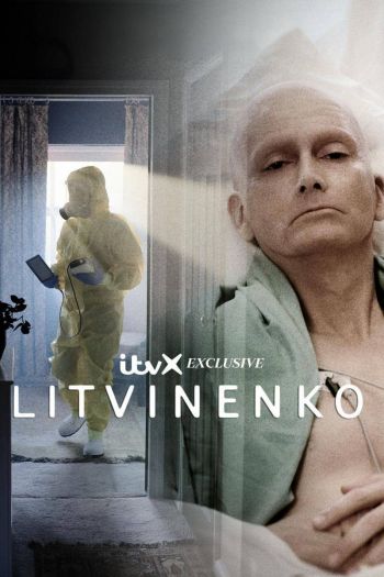 Смотреть онлайн Литвиненко (2022)