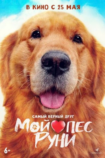 Смотреть онлайн Мой пёс Руни (2023)