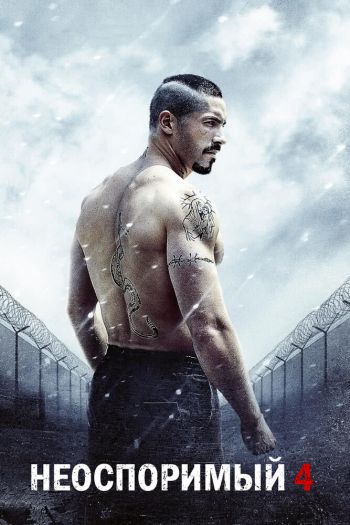 Смотреть онлайн Неоспоримый 4 (2016)