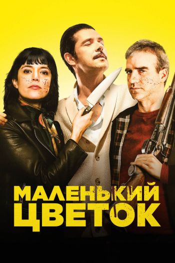 Смотреть онлайн Маленький цветок (2020)