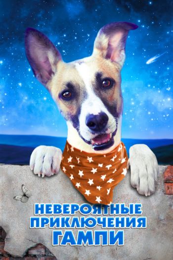Смотреть онлайн Невероятные приключения Гампи (2021)