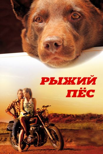 Смотреть онлайн Рыжий пес