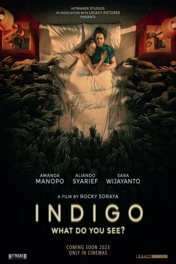 Смотреть онлайн Индиго (2023)