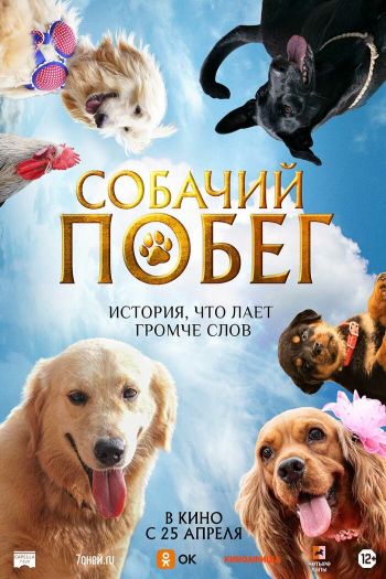 Смотреть онлайн Собачий побег (2023)
