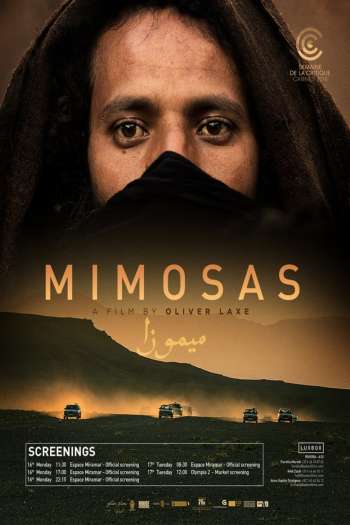 Смотреть онлайн Мимозы (2016)