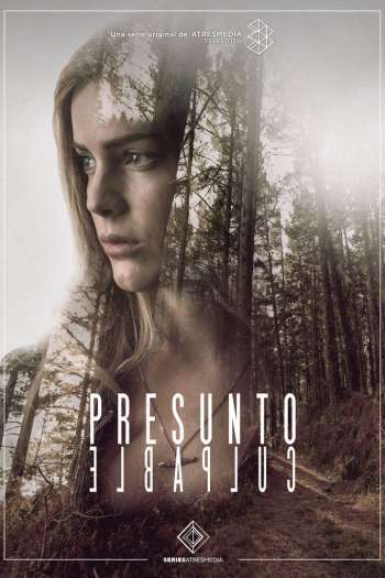 Смотреть онлайн Обвиняемый (2018)