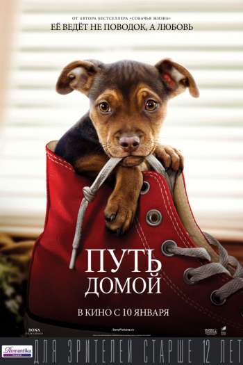Смотреть онлайн Путь домой (2019)