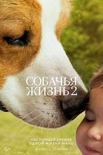Смотреть онлайн Собачья жизнь 2