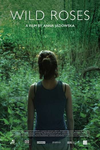 Смотреть онлайн Дикие розы (2017)