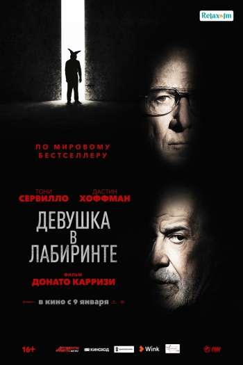 Смотреть онлайн Девушка в лабиринте (2019)