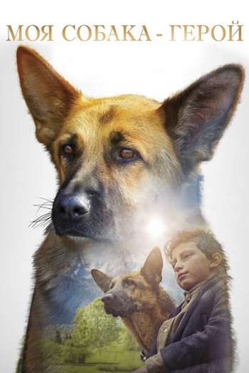 Смотреть онлайн Моя собака — герой (2019)